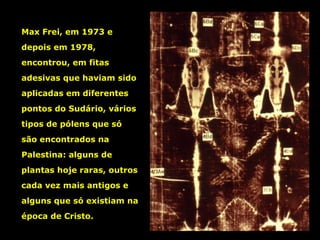 Max Frei, em 1973 e
depois em 1978,
encontrou, em fitas
adesivas que haviam sido
aplicadas em diferentes
pontos do Sudário, vários
tipos de pólens que só
são encontrados na
Palestina: alguns de
plantas hoje raras, outros
cada vez mais antigos e
alguns que só existiam na
época de Cristo.

 