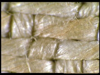 A imagem é composta de "fibrilas
amarelas". A coloração é produto
de uma desidratação da celulose de
origem desconhecida que faz
pensar numa espécie queimadura
provocada por uma fonte de calor.
As fibras não estão "pintadas“,
apenas superficialmente
queimadas, sem impregnação. Este
"queimado" aparente do tecido que
constitui a imagem, principal
característica visual, não afetou as
fibras dos fios mas apenas e de
maneira seletiva às fibrilas,
mensuráveis em cerca de dezenas
de microns.

 