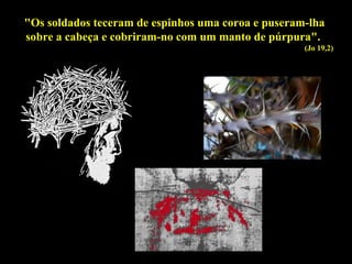 "Os soldados teceram de espinhos uma coroa e puseram-lha
sobre a cabeça e cobriram-no com um manto de púrpura".
(Jo 19,2)

 