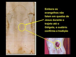 Embora os
evangelhos não
falem em quedas de
Jesus durante o
trajeto até o
Gólgota, o sudário
confirma a tradição

 