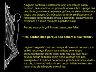 A agonia continua. Lentamente com um esforço sobrehumano, Jesus tomou um ponto de apoio sobre o prego dos
pés. Esforçando-se a pequenos golpes, se eleva aliviando a
tração dos braços. Os músculos do tórax se distendem. A
respiração se torna mais ampla e profunda, os pulmões se
esvaziam e o rosto recupera a palidez inicial.
Porque este esforço? Porque Jesus quer falar:

"Pai, perdoa-lhes porque não sabem o que fazem".
Logo em seguida o corpo começa afrouxar-se de novo, e a
asfixia recomeça. Foram transmitidas sete frases
pronunciadas por ele na cruz: cada vez que quer falar,
deverá elevar-se tendo como apoio o prego dos pés,
inimaginável! Enxames de moscas, grandes moscas verdes
e azuis, zunem ao redor do seu corpo; irritam sobre o seu
rosto, mas ele não pode enxotá-las.

 