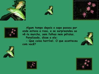 Algum tempo depois o sapo passou por
onde estava a rosa, e se surpreendeu ao
vê-la murcha, sem folhas nem pétalas.
  Penalizado, disse a ela:
  - Que coisa horrível. O que aconteceu
com você?
 