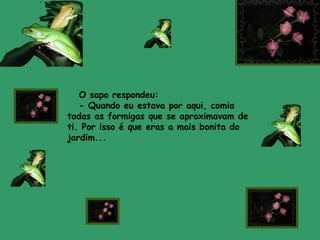 O sapo respondeu:
   - Quando eu estava por aqui, comia
todas as formigas que se aproximavam de
ti. Por isso é que eras a mais bonita do
jardim...
 