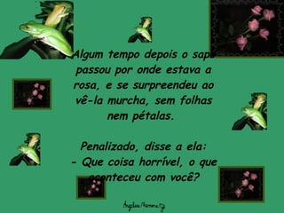 Algum tempo depois o sapo passou por onde estava a rosa, e se surpreendeu ao vê-la murcha, sem folhas nem pétalas.  Penalizado, disse a ela: -  Que coisa horrível, o que aconteceu com você? 