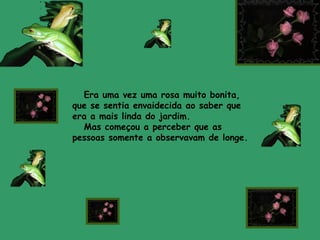 Era uma vez uma rosa muito bonita,
que se sentia envaidecida ao saber que
era a mais linda do jardim.
Mas começou a perceber que as
pessoas somente a observavam de longe.
 