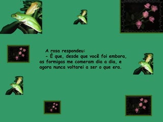A rosa respondeu:
- É que, desde que você foi embora,
as formigas me comeram dia a dia, e
agora nunca voltarei a ser o que era.
 