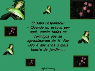 O sapo respondeu:
- Quando eu estava por
aqui, comia todas as
formigas que se
aproximavam de ti. Por
isso é que eras a mais
bonita do jardim...
 