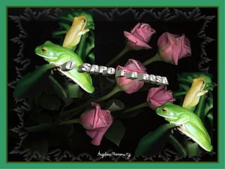 O  SAPO  E  A  ROSA 
