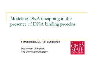 Modeling DNA unzipping in the presence of DNA binding proteins Farhat Habib, Dr. Ralf Bundschuh Department of Physics,  The Ohio State University 