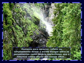 Momento para apreciar, refletir ou simplesmente deixar a mente divagar entre os pensamentos neste cenário maravilhoso, que a natureza coloca diante dos nossos olhos... 