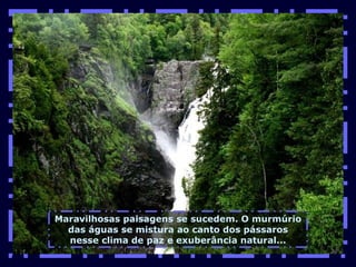 Maravilhosas paisagens se sucedem. O murmúrio das águas se mistura ao canto dos pássaros nesse clima de paz e exuberância natural... 