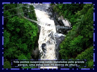 Três pontes suspensas estão instaladas pelo grande parque, uma delas com 74 metros de altura... 