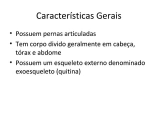 Características Gerais
• Possuem pernas articuladas
• Tem corpo divido geralmente em cabeça,
tórax e abdome
• Possuem um esqueleto externo denominado
exoesqueleto (quitina)
 