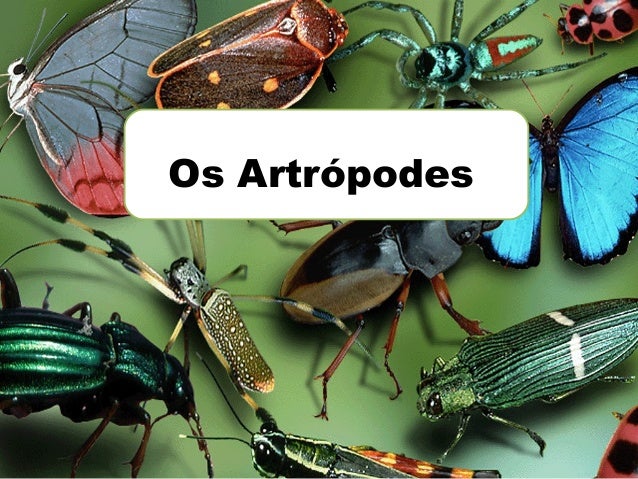 Abstinencia no namoro