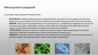 Mikroorganismo patogenoak
Gu gaixotzea eragin dezaketen mikroorganismoak.
- BAKTERIOAK: Nukleorik gabeko organismo zelulabakarrak dira. Gorputzaren barruan ugaltzen dira eta ondoko
zelulak eta ehunak suntsitzen dituzte. Gainera odolaren bidez hedatzen dira gaixotasunen sintoma larrienak sortuz.
- BIRUSAK: Zelula ez den mikroorganismoa da; oso egitura bakuna du. Zelulatik kanpo bizigabeak dira, hau da, ezin
dira euren kabuz ugaldu. Zelula batean sartzean suntsitu egiten dute. Batzuetan ez dute zelula hiltzen, barruan
geratzen dira eta arrazoi batengatik berriro aktibatu eta gaixotasuna sor dezakete.
- PROTOZOOAK: Nukleodun organismo zelulabakarrak dira(eukariotoak). Hogei espezie inguruk sor dezakete
gaixotasuna gizakiengan eta biztanleriaren laurden batek gaixotasun horietako bat du.
- ONDDOAK: Nukleodun organismo zelulabakarrak edo zelulanitzak dira (eukariotoak). Ez dute banako osasuntsuak
gaixotzea eragiten, beste gaixotasun baten ondorioz ahul dauden pertsonak baizik.
 