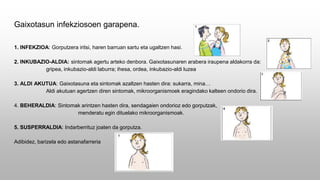 Gaixotasun infekziosoen garapena.
1. INFEKZIOA: Gorputzera iritsi, haren barruan sartu eta ugaltzen hasi.
2. INKUBAZIO-ALDIA: sintomak agertu arteko denbora. Gaixotasunaren arabera iraupena aldakorra da:
gripea, inkubazio-aldi laburra; ihesa, ordea, inkubazio-aldi luzea
3. ALDI AKUTUA: Gaixotasuna eta sintomak azaltzen hasten dira: sukarra, mina…
Aldi akutuan agertzen diren sintomak, mikroorganismoek eragindako kalteen ondorio dira.
4. BEHERALDIA: Sintomak arintzen hasten dira, sendagaien ondorioz edo gorputzak,
menderatu egin dituelako mikroorganismoak.
5. SUSPERRALDIA: Indarberrituz joaten da gorputza.
Adibidez, barizela edo astanafarreria
 