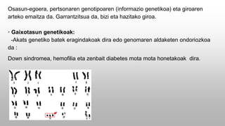 Osasun-egoera, pertsonaren genotipoaren (informazio genetikoa) eta giroaren
arteko emaitza da. Garrantzitsua da, bizi eta hazitako giroa.
· Gaixotasun genetikoak:
-Akats genetiko batek eragindakoak dira edo genomaren aldaketen ondoriozkoa
da :
Down sindromea, hemofilia eta zenbait diabetes mota mota honetakoak dira.
 