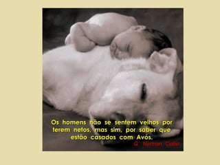 Os  homens  não  se  sentem  velhos  por  terem  netos,  mas  sim,  por  saber  que  estão  casados  com  Avós.  G.  Norman  Collie 