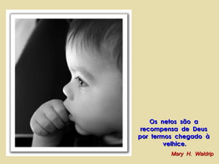 Os  netos  são  a  recompensa  de  Deus  por  termos  chegado  à  velhice. Mary  H.  Waldrip 