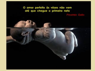 O  amor  perfeito  às  vêzes  não  vem até  que  chegue  o  primeiro  neto Provérbio  Galês 