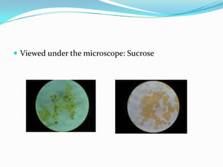 Viewed under the microscope: Sucrose
