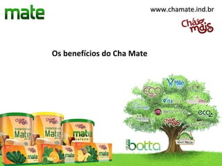 www.chamate.ind.br




Os benefícios do Cha Mate
 