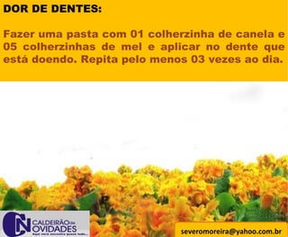 [email_address] DOR DE DENTES: Fazer uma pasta com 01 colherzinha de canela e 05 colherzinhas de mel e aplicar no dente que está doendo. Repita pelo menos 03 vezes ao dia. 