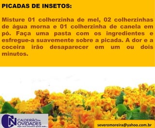 [email_address] PICADAS DE INSETOS: Misture 01 colherzinha de mel, 02 colherzinhas de água morna e 01 colherzinha de canela em pó. Faça uma pasta com os ingredientes e esfregue-a suavemente sobre a picada. A dor e a coceira irão desaparecer em um ou dois minutos. 