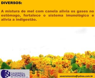 [email_address] DIVERSOS: A mistura de mel com canela alivia os gases no estômago, fortalece o sistema imunológico e alivia a indigestão. 