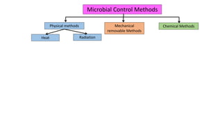 the control of microbial growth | PPTX