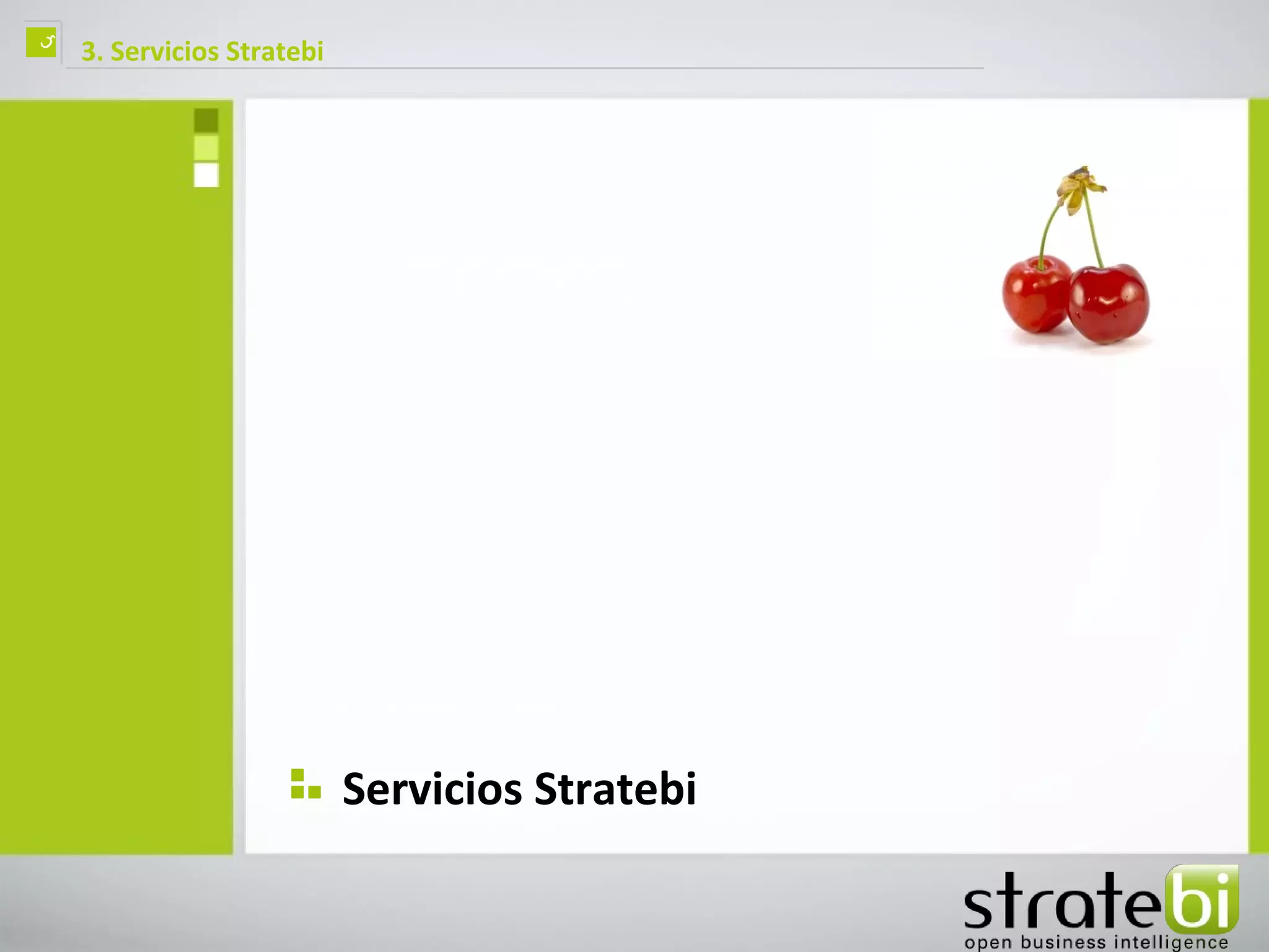 ç   3. Servicios Stratebi




                            Servicios Stratebi
 