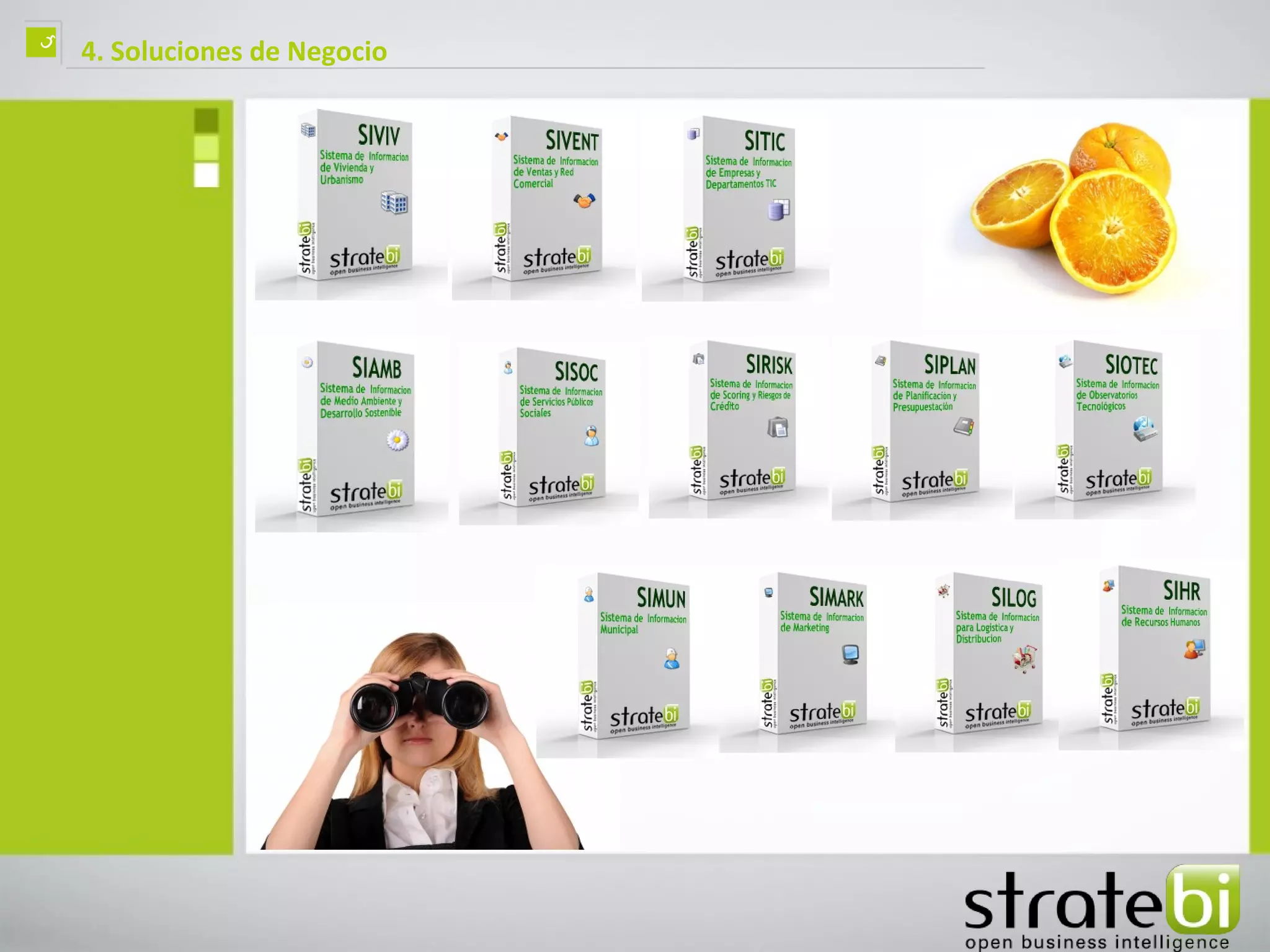 ç   4. Soluciones de Negocio
 
