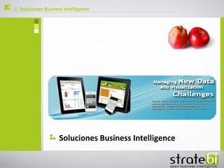 ç   2. Soluciones Business Intelligence




                        Soluciones Business Intelligence
 