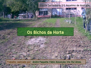 Os Bichos da Horta
Trabalho realizado por: André Paquete; Fábio Assunção; Iris; Rui Alves.
Escola Secundária 2/3 Anselmo de Andrade
 