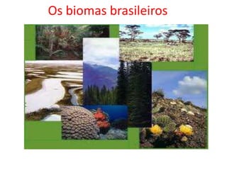 Os biomas brasileiros
 