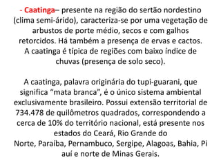 - Caatinga– presente na região do sertão nordestino
(clima semi-árido), caracteriza-se por uma vegetação de
      arbustos de porte médio, secos e com galhos
  retorcidos. Há também a presença de ervas e cactos.
    A caatinga é típica de regiões com baixo índice de
             chuvas (presença de solo seco).

   A caatinga, palavra originária do tupi-guarani, que
  significa “mata branca”, é o único sistema ambiental
exclusivamente brasileiro. Possui extensão territorial de
734.478 de quilômetros quadrados, correspondendo a
 cerca de 10% do território nacional, está presente nos
             estados do Ceará, Rio Grande do
Norte, Paraíba, Pernambuco, Sergipe, Alagoas, Bahia, Pi
               auí e norte de Minas Gerais.
 