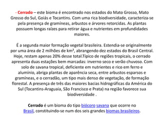 - Cerrado – este bioma é encontrado nos estados do Mato Grosso, Mato
Grosso do Sul, Goiás e Tocantins. Com uma rica biodiversidade, caracteriza-se
    pela presença de gramíneas, arbustos e árvores retorcidas. As plantas
   possuem longas raízes para retirar água e nutrientes em profundidades
                                   maiores.

    É a segunda maior formação vegetal brasileira. Estendia-se originalmente
por uma área de 2 milhões de km², abrangendo dez estados do Brasil Central.
  Hoje, restam apenas 20% desse total.Típico de regiões tropicais, o cerrado
apresenta duas estações bem marcadas: inverno seco e verão chuvoso. Com
       solo de savana tropical, deficiente em nutrientes e rico em ferro e
     alumínio, abriga plantas de aparência seca, entre arbustos esparsos e
   gramíneas, e o cerradão, um tipo mais denso de vegetação, de formação
 florestal. A presença de três das maiores bacias hidrográficas da América do
     Sul (Tocantins-Araguaia, São Francisco e Prata) na região favorece sua
                                 biodiversidade .

        Cerrado é um bioma do tipo biócoro savana que ocorre no
      Brasil, constituindo-se num dos seis grandes biomas brasileiros.
 