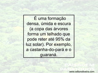 É uma formação
densa, úmida e escura
(a copa das árvores
forma um telhado que
pode reter até 95% da
luz solar). Por exemplo,
a castanha-do-pará e o
guaraná.
www.wiltonoliveira.com
 