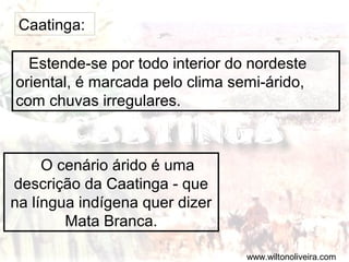 Caatinga:
Estende-se por todo interior do nordeste
oriental, é marcada pelo clima semi-árido,
com chuvas irregulares.
O cenário árido é uma
descrição da Caatinga - que
na língua indígena quer dizer
Mata Branca.
www.wiltonoliveira.com
 