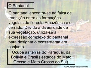 O Pantanal
Ocupa as terras do Paraguai, da
Bolívia e Brasil ( estados do Mato
Grosso e Mato Grosso do Sul).
www.wiltonoliveira.com
O pantanal encontra-se na faixa de
transição entre as formações
vegetais do floresta Amazônica e o
cerrado. Devido a diversidade de
sua vegetação, utiliza-se a
expressão complexo do pantanal
para designar o ecossistema em
conjunto.
 