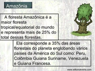 Amazônia
A floresta Amazônica é a
maior floresta
tropical/equatorial do mundo
e representa mais de 25% do
total dessas florestas.
Ela corresponde a 35% das áreas
florestais do planeta englobando vários
países da América do Sul como: Peru,
Colômbia Guiana Suriname, Venezuela
e Guiana Francesa.
www.wiltonoliveira.com
 