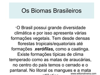 Os Biomas Brasileiros
•O Brasil possui grande diversidade
climática e por isso apresenta várias
formações vegetais. Tem desde densas
florestas tropicais/equatoriais até
formações xerófilas, como a caatinga.
Existe formações típicas de clima
temperado como as matas de araucárias,
no centro do país temos o cerrado e o
pantanal. No litoral os mangues e a mata

www.wiltonoliveira.com

 
