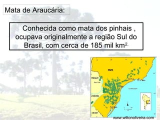 Mata de Araucária:
Conhecida como mata dos pinhais ,
ocupava originalmente a região Sul do
Brasil, com cerca de 185 mil km2.

www.wiltonoliveira.com

 