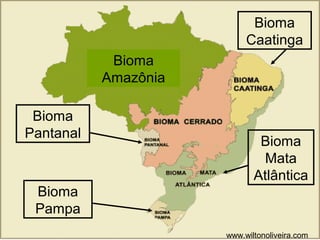 Bioma
Caatinga
Bioma
Amazônia
Bioma
Pantanal

Bioma
Mata
Atlântica

Bioma
Pampa
www.wiltonoliveira.com

 