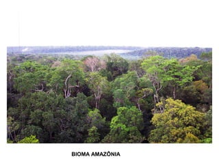 BIOMA AMAZÔNIA

 