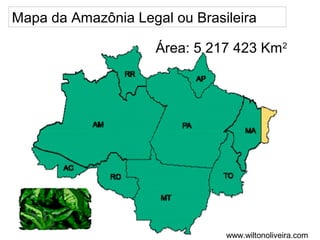 Mapa da Amazônia Legal ou Brasileira
Área: 5 217 423 Km2

www.wiltonoliveira.com

 