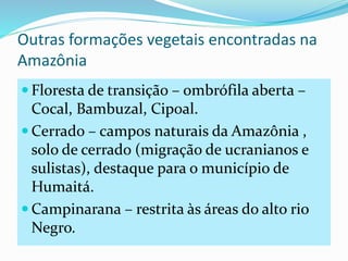 Outras formações vegetais encontradas na 
Amazônia 
 Floresta de transição – ombrófila aberta – 
Cocal, Bambuzal, Cipoal. 
Cerrado – campos naturais da Amazônia , 
solo de cerrado (migração de ucranianos e 
sulistas), destaque para o município de 
Humaitá. 
 Campinarana – restrita às áreas do alto rio 
Negro. 
 