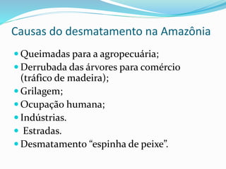 Causas do desmatamento na Amazônia 
 Queimadas para a agropecuária; 
 Derrubada das árvores para comércio 
(tráfico de madeira); 
 Grilagem; 
 Ocupação humana; 
 Indústrias. 
 Estradas. 
 Desmatamento “espinha de peixe”. 
 