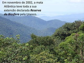 Em novembro de 2002, a mata 
Atlântica teve toda a sua 
extensão declarada Reserva 
da Biosfera pela Unesco. 
 