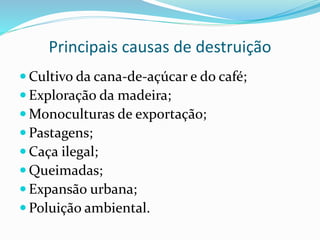 Principais causas de destruição 
Cultivo da cana-de-açúcar e do café; 
 Exploração da madeira; 
Monoculturas de exportação; 
 Pastagens; 
 Caça ilegal; 
 Queimadas; 
 Expansão urbana; 
 Poluição ambiental. 
 
